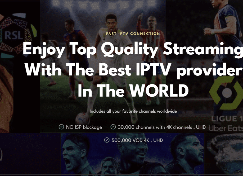 IPTV service provider